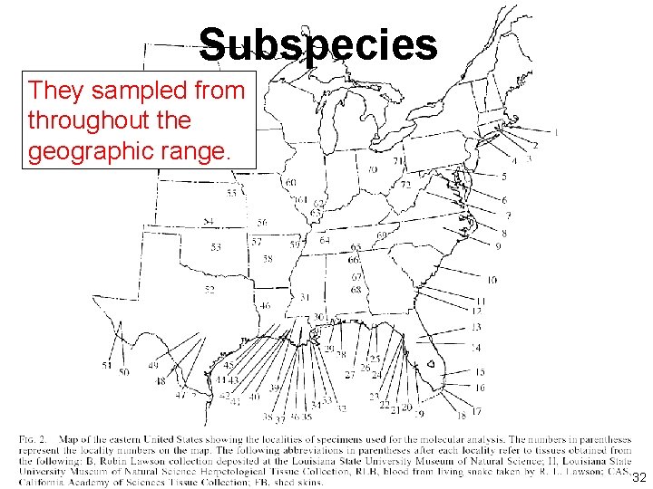 Subspecies They sampled from throughout the geographic range. 32 