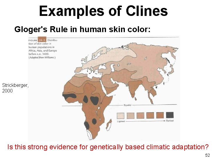 Examples of Clines Gloger's Rule in human skin color: Strickberger, 2000 Is this strong