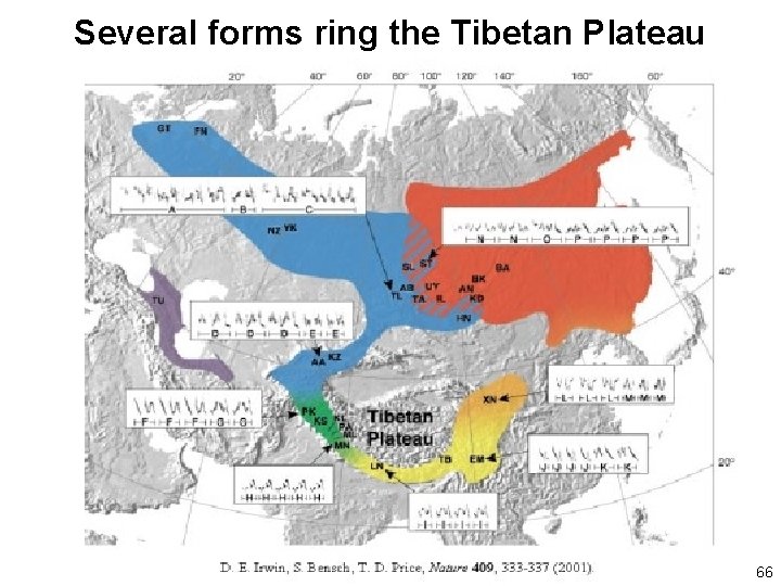 Several forms ring the Tibetan Plateau 66 