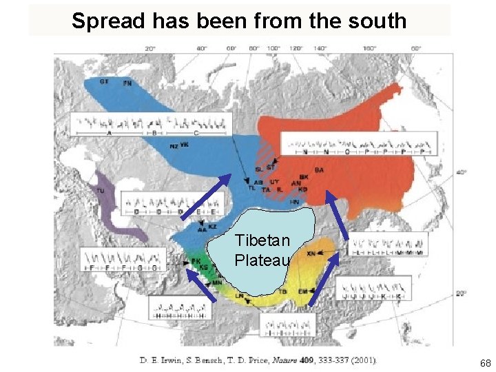 Spread has been from the south Tibetan Plateau 68 