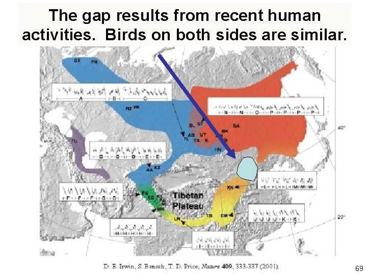 The gap results from recent human activities. Birds on both sides are similar. 69