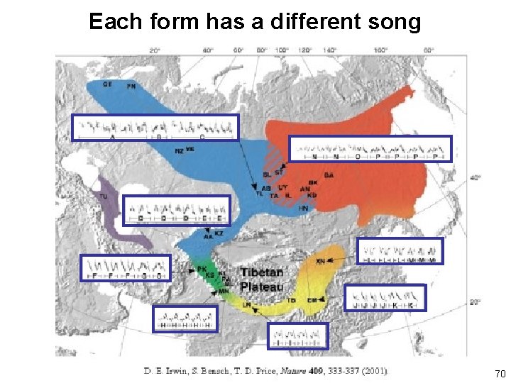 Each form has a different song 70 
