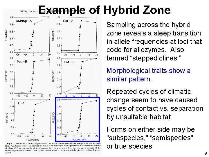 Example of Hybrid Zone Sampling across the hybrid zone reveals a steep transition in