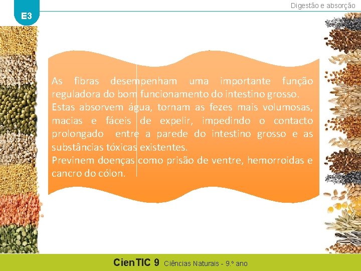 Digestão e absorção E 3 As fibras desempenham uma importante função reguladora do bom