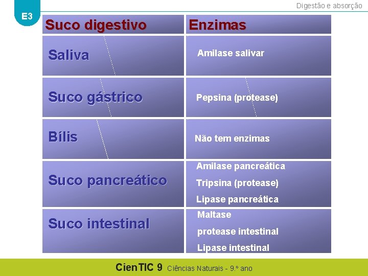 Digestão e absorção E 3 Suco digestivo Enzimas Saliva Amilase salivar Suco gástrico Pepsina