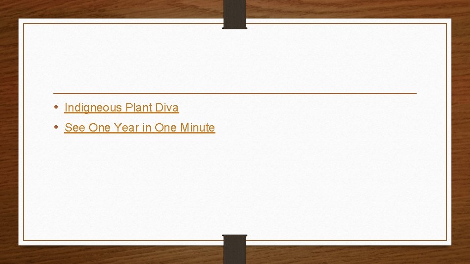  • Indigneous Plant Diva • See One Year in One Minute 