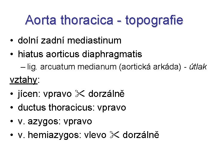 Aorta thoracica - topografie • dolní zadní mediastinum • hiatus aorticus diaphragmatis – lig.