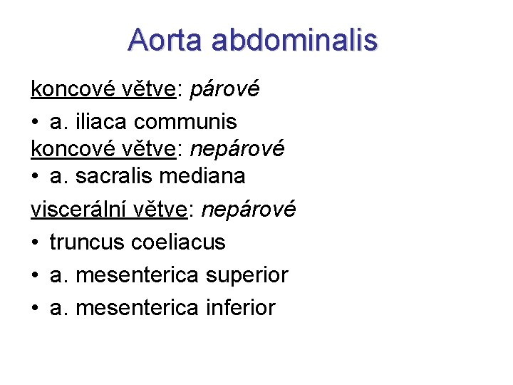 Aorta abdominalis koncové větve: párové • a. iliaca communis koncové větve: nepárové • a.