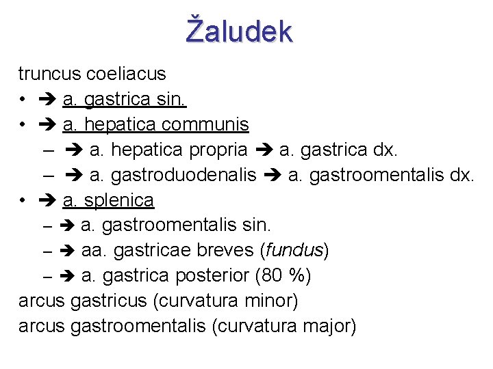 Žaludek truncus coeliacus • a. gastrica sin. • a. hepatica communis – a. hepatica