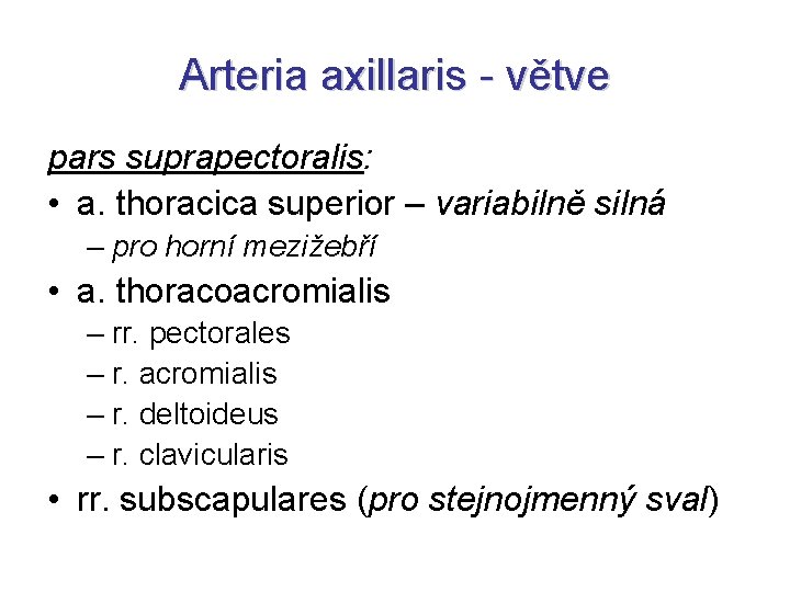 Arteria axillaris - větve pars suprapectoralis: • a. thoracica superior – variabilně silná –