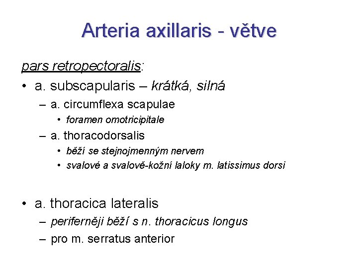 Arteria axillaris - větve pars retropectoralis: • a. subscapularis – krátká, silná – a.