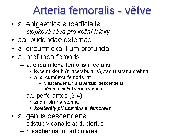 Arteria femoralis - větve • a. epigastrica superficialis – stopkové céva pro kožní laloky