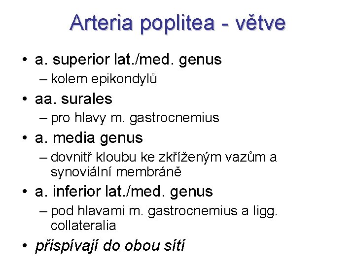 Arteria poplitea - větve • a. superior lat. /med. genus – kolem epikondylů •