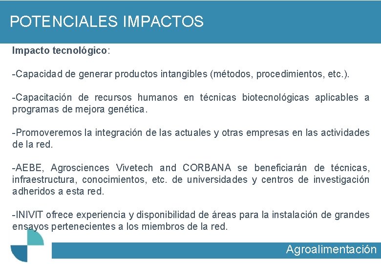 POTENCIALES IMPACTOS Impacto tecnológico: -Capacidad de generar productos intangibles (métodos, procedimientos, etc. ). -Capacitación