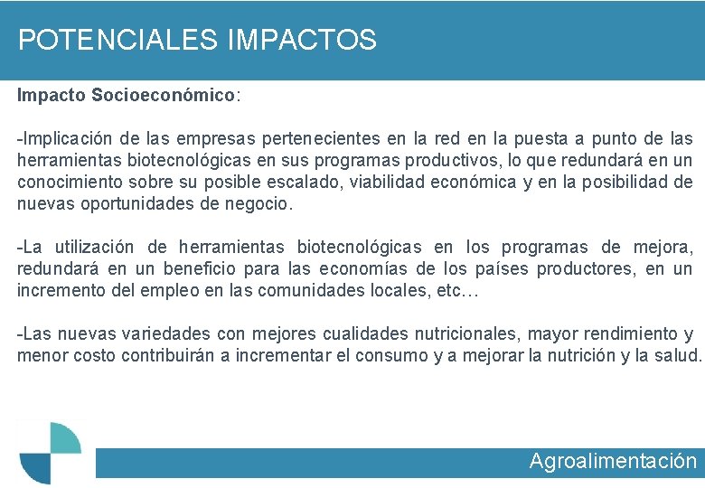 POTENCIALES IMPACTOS Impacto Socioeconómico: -Implicación de las empresas pertenecientes en la red en la