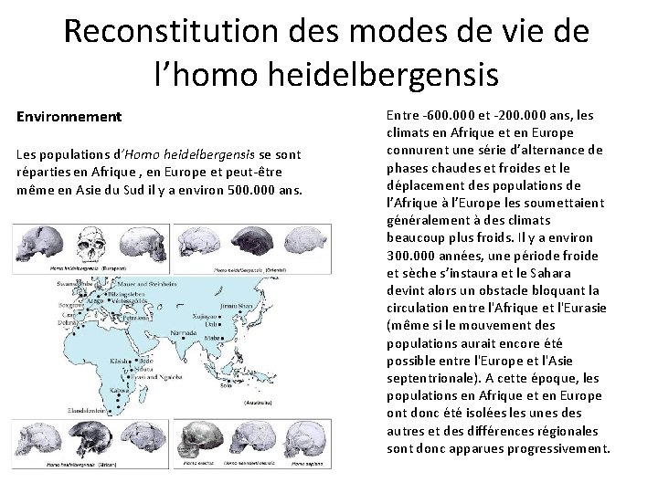 Reconstitution des modes de vie de l’homo heidelbergensis Environnement Les populations d’Homo heidelbergensis se