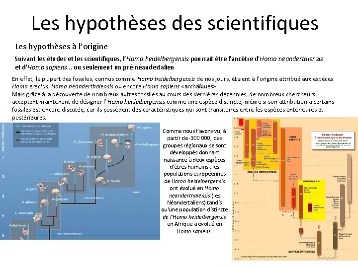 Les hypothèses des scientifiques Les hypothèses à l’origine Suivant les études et les scientifiques,