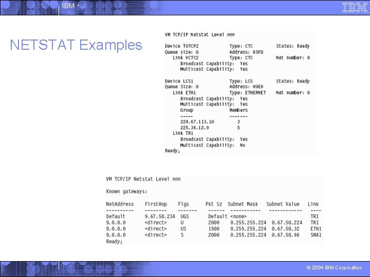 IBM ^ NETSTAT Examples © 2004 IBM Corporation 