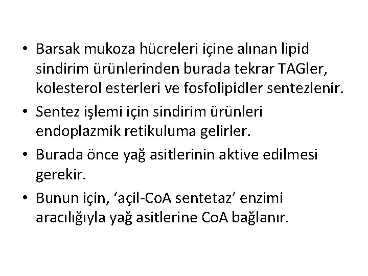  • Barsak mukoza hücreleri içine alınan lipid sindirim ürünlerinden burada tekrar TAGler, kolesterol