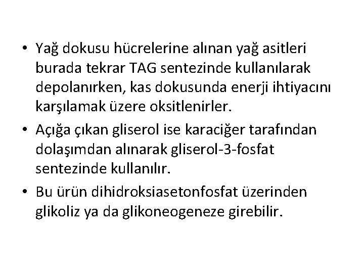  • Yağ dokusu hücrelerine alınan yağ asitleri burada tekrar TAG sentezinde kullanılarak depolanırken,