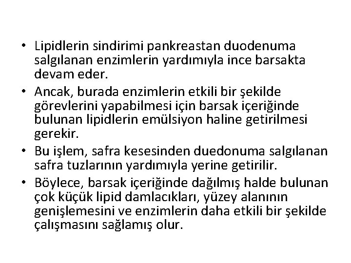  • Lipidlerin sindirimi pankreastan duodenuma salgılanan enzimlerin yardımıyla ince barsakta devam eder. •