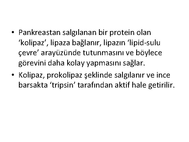  • Pankreastan salgılanan bir protein olan ‘kolipaz’, lipaza bağlanır, lipazın ‘lipid-sulu çevre’ arayüzünde