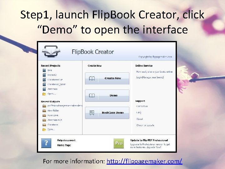 Step 1, launch Flip. Book Creator, click “Demo” to open the interface For more