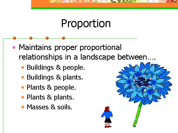 Proportion • Maintains proper proportional relationships in a landscape between…. • • • Buildings