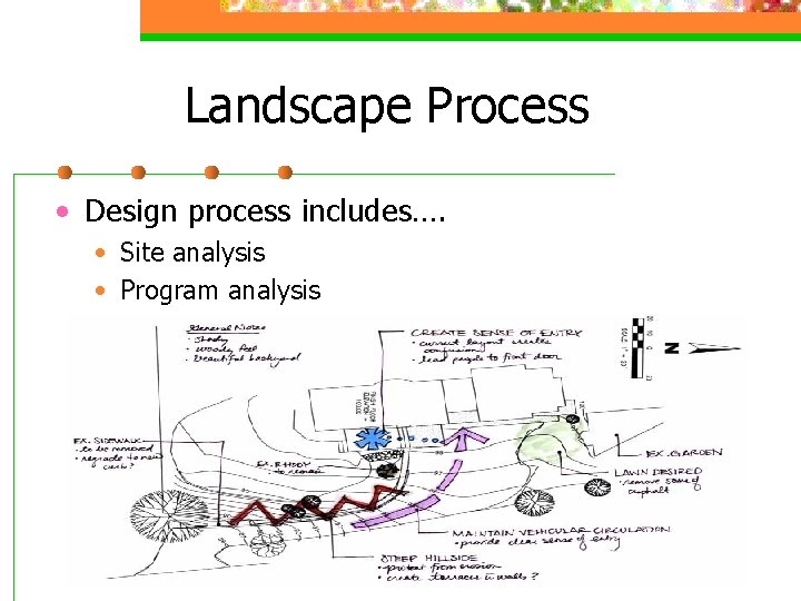 Landscape Process • Design process includes…. • Site analysis • Program analysis 