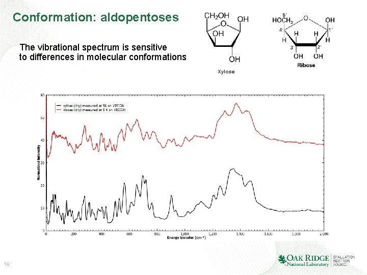 Conformation: aldopentoses The vibrational spectrum is sensitive to differences in molecular conformations Xylose 19