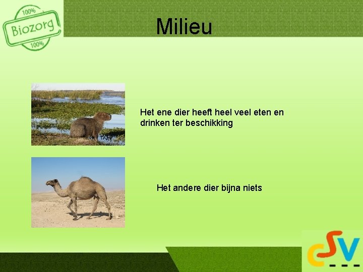 Milieu Het ene dier heeft heel veel eten en drinken ter beschikking Het andere