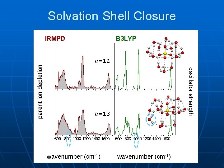 Solvation Shell Closure B 3 LYP n=12 oscillator strength parent ion depletion IRMPD n=13