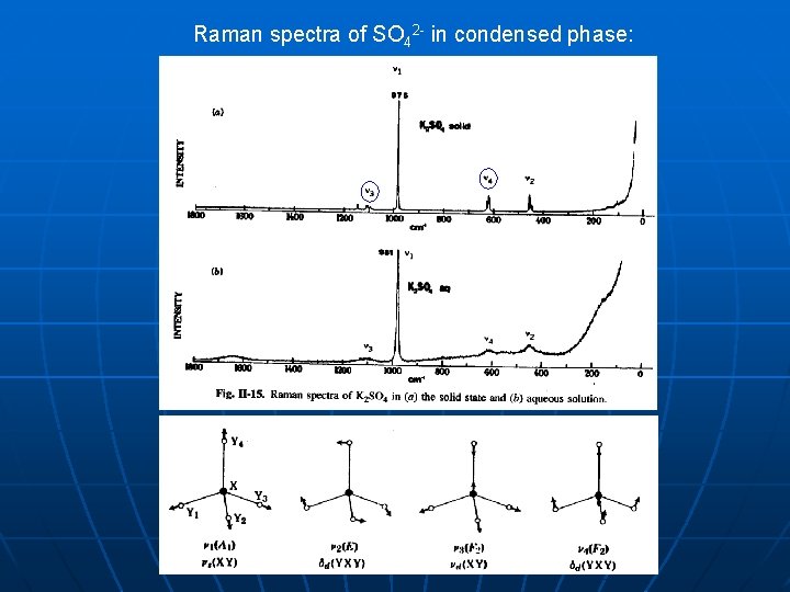 Raman spectra of SO 42 - in condensed phase: 