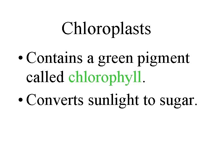 Chloroplasts • Contains a green pigment called chlorophyll. • Converts sunlight to sugar. 