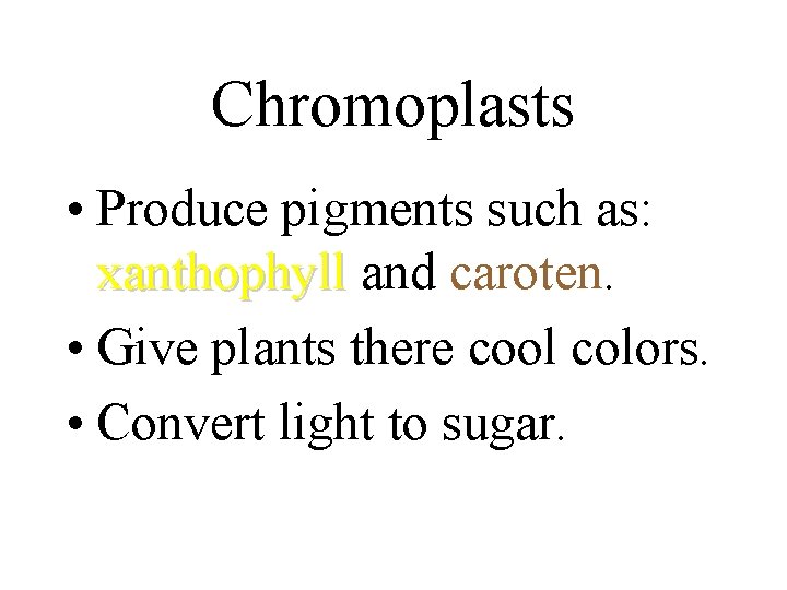 Chromoplasts • Produce pigments such as: xanthophyll and caroten. • Give plants there cool