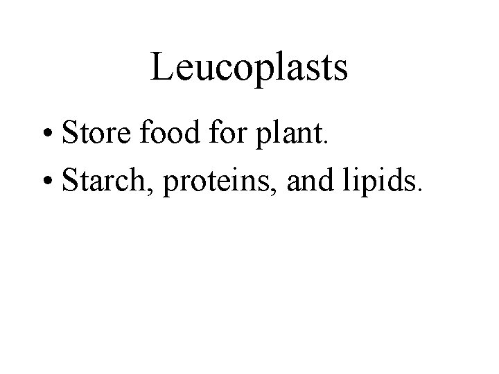 Leucoplasts • Store food for plant. • Starch, proteins, and lipids. 