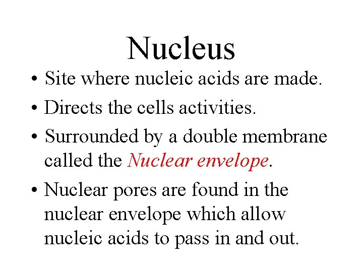 Nucleus • Site where nucleic acids are made. • Directs the cells activities. •