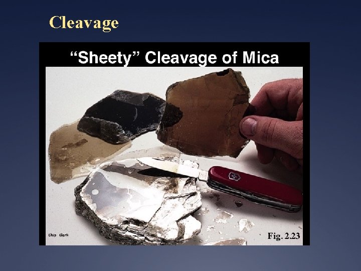 Cleavage BIOTITE MUSCOVITE 