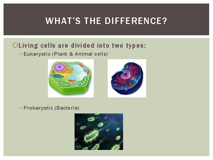 WHAT’S THE DIFFERENCE? Living cells are divided into two types: § Eukaryotic (Plant &