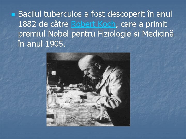 n Bacilul tuberculos a fost descoperit în anul 1882 de către Robert Koch, care