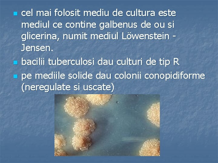 n n n cel mai folosit mediu de cultura este mediul ce contine galbenus