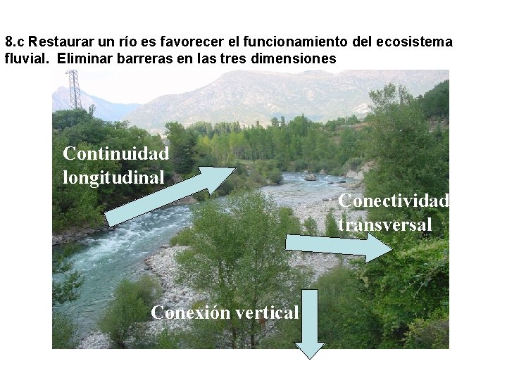 8. c Restaurar un río es favorecer el funcionamiento del ecosistema fluvial. Eliminar barreras