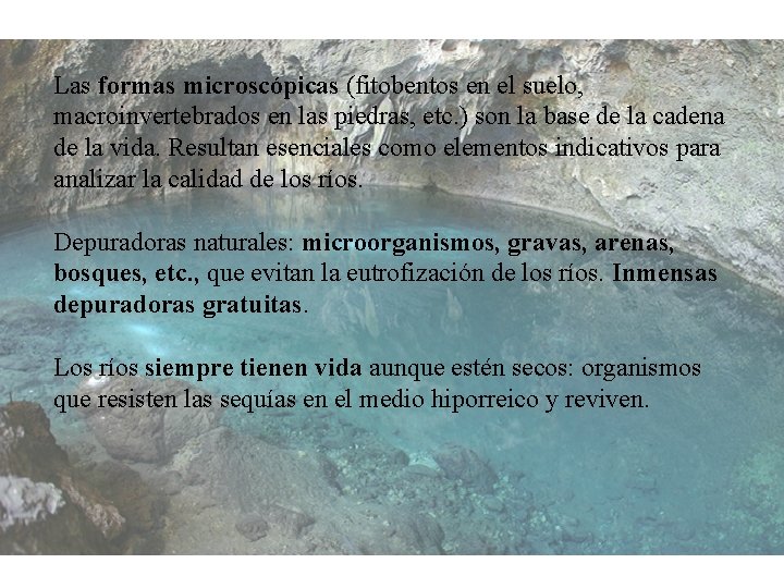 LA INVISIBILIDAD DE LOS RÍOS Las formas microscópicas (fitobentos en el suelo, macroinvertebrados en