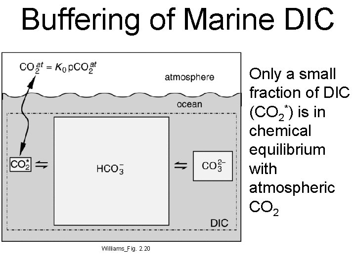 Buffering of Marine DIC Only a small fraction of DIC (CO 2*) is in