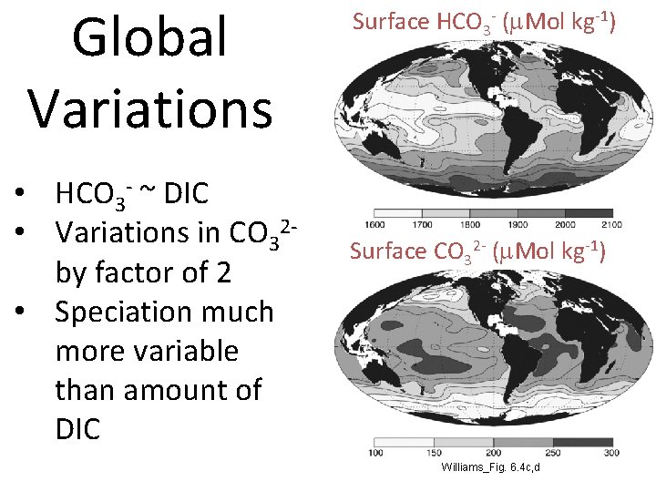 Global Variations • HCO 3 - ~ DIC • Variations in CO 32 by