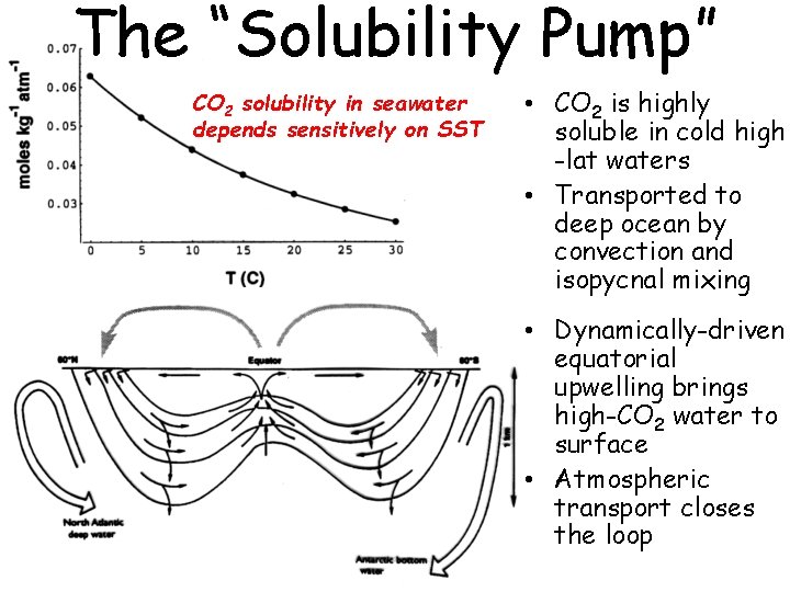 The “Solubility Pump” CO 2 solubility in seawater depends sensitively on SST • CO