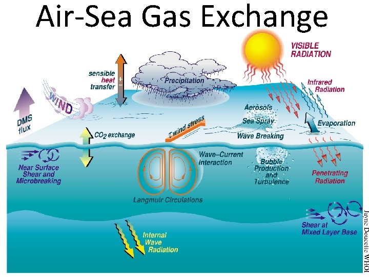 Air-Sea Gas Exchange 