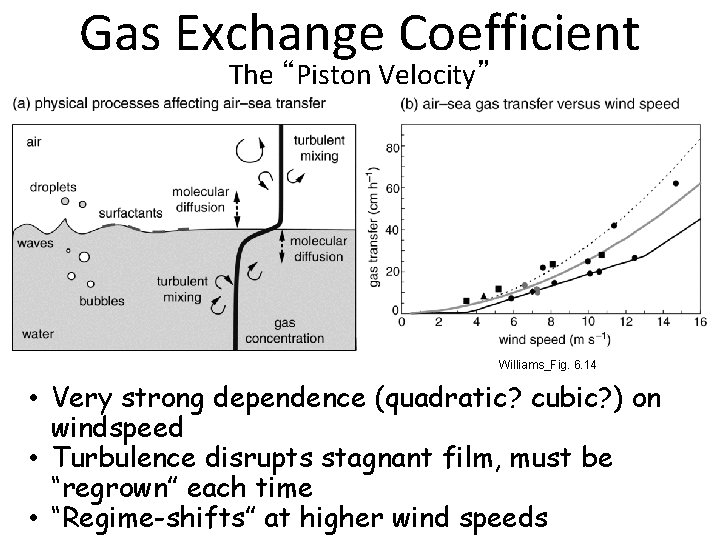 Gas Exchange Coefficient The “Piston Velocity” Williams_Fig. 6. 14 • Very strong dependence (quadratic?