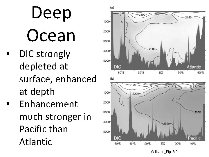 Deep Ocean • DIC strongly depleted at surface, enhanced at depth • Enhancement much