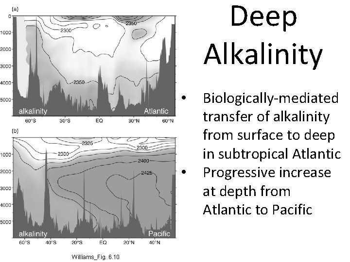 Deep Alkalinity • • Williams_Fig. 6. 10 Biologically-mediated transfer of alkalinity from surface to
